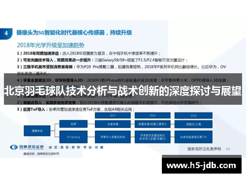 北京羽毛球队技术分析与战术创新的深度探讨与展望